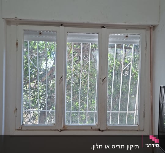 חלון עם סורגים ועץ ברקע